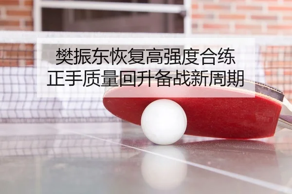 樊振东恢复高强度合练 正手质量回升备战新周期