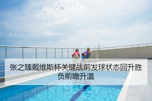 张之臻戴维斯杯关键战前发球状态回升胜负前瞻升温